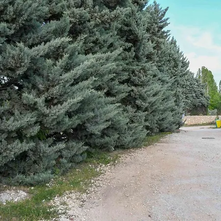 Emilija Апартаменты Пореч